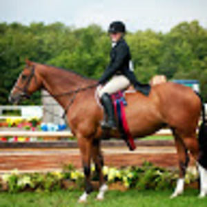 Meet your Posher, Sidney